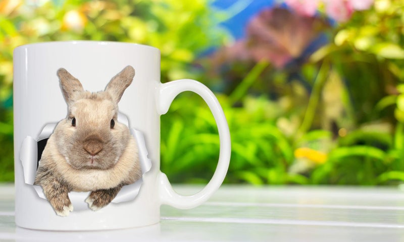 Winston Bear Winston & Bear Rascally Rabbit Mug - Funny Bunny Coffee Mug Easter Gift - Cute Novelty Cup (11oz) - Image 5